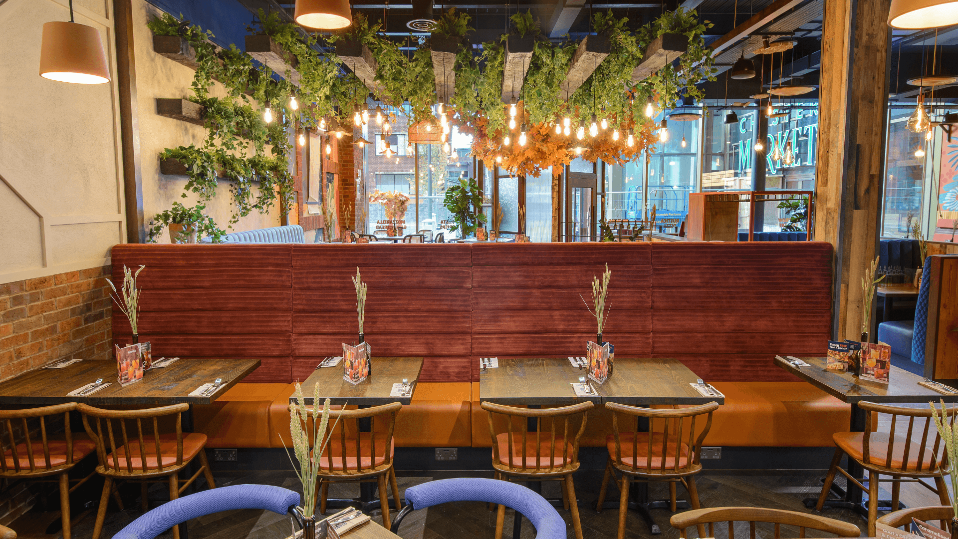 Zizzi Chester