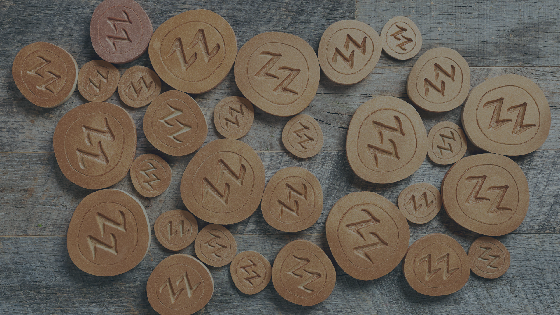 Zs Website Header 